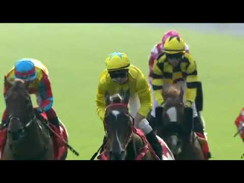 2022 HKJC  SHA TIN  Jockey Club Sprint