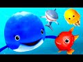 Meet Ocean Animals Learn To Count To 10