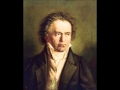 Beethoven - Piano Sonata in A major Op.2 No.2 - IV, Rondo: Grazioso