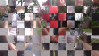 Wu-Syndicate - VA Cats Royal New Abderrahmane