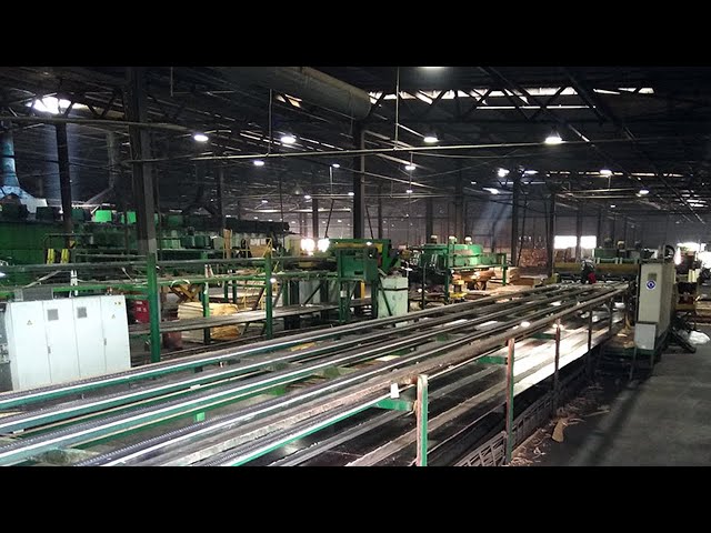 От выброса сероводорода в Приангарье пострадали сотрудники лесозаготовительного предприятия