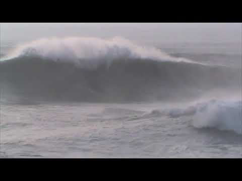 Into The Future - PhOniAndFlOrE (Official Clip)