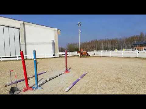 1df591d9 112c 4e77 80b8 a178bfb30cbf