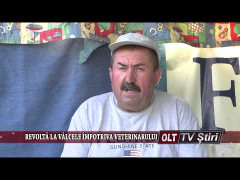 REVOLTA LA VALCELE IMPOTRIVA VETERINARULUI 1808