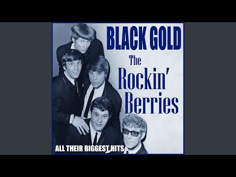 Poor Mans Son - The Rockin Berries