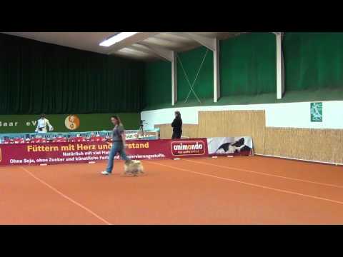 Kathi Wurm mit Max - Dogdanceturnier Überherrn 17.03.2012