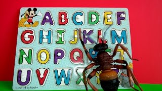 Lets Learn ABC Letters Alphabets Puzzle-Disney-HUGE Ant Attack-Kids z Fun