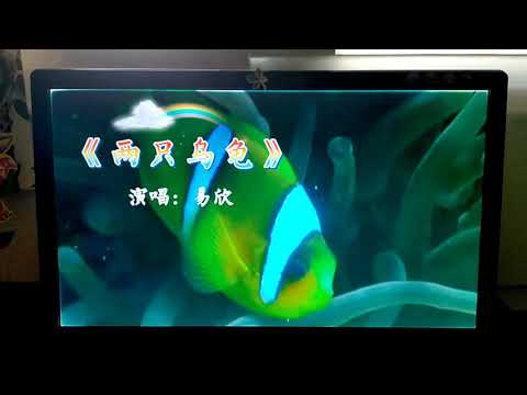 兩隻烏龜