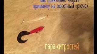Могилевский рыболовный клуб в коряжнике