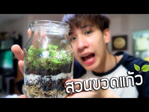 ชาสำหรับผู้หญิงแรง การรักษาความอ่อนแอที่นิยม
