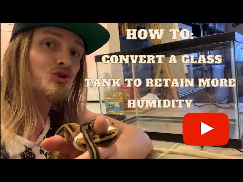 YouTube video about: How to insulate reptile tank?