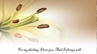 Amy Grant - Love me tender (Ost. Honeymoon in Vegas) with lyrics