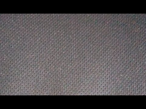 SäyRi Musta - Team LKP