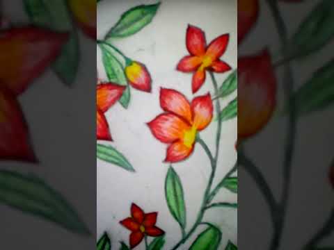 Beautiful flower scenery