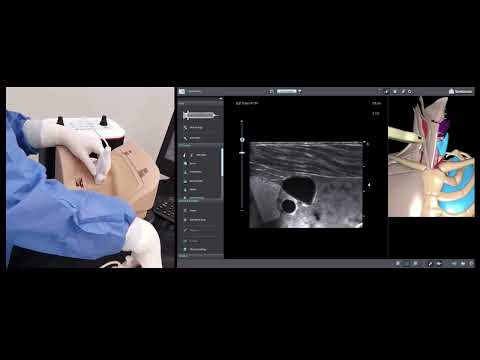 Guided central line placement tutorial and simulator hands-on demonstration