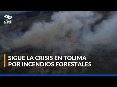 Incendios forestales en Tolima: bomberos reportan cinco puntos críticos y piden mayor apoyo