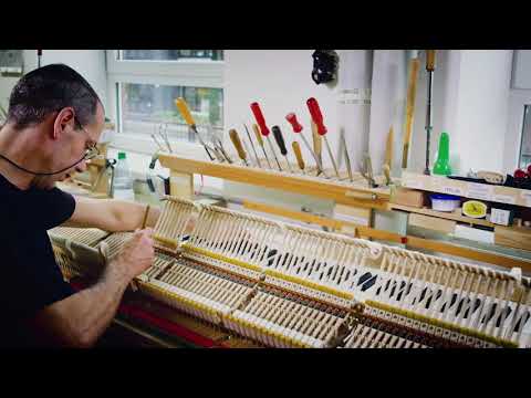 Stations Of The Steinway Hamburg Factory Tour - 𝐓𝐇𝐄 𝐑𝐄𝐆𝐔𝐋𝐀𝐓𝐈𝐎𝐍 - Steinway & Sons Việt Thương
