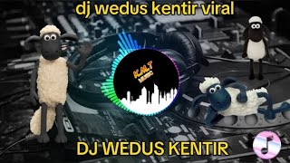 Download lagu LAGU DJ TIK TOK WEDUS KENTIR 🎶 mp3