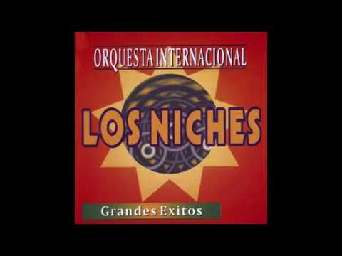 Llorando tu Ausencia  - Orquesta Los Niches