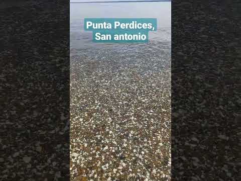 Punta Perdices, San Antonio Este. Miles de caracoles y el mar más azul que puedas imaginar.