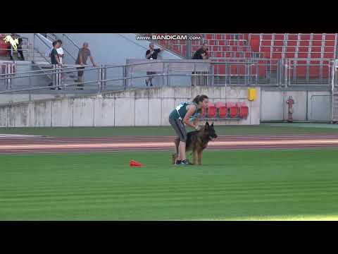 1123 Bruno vom Hühnegrab - TSB BSZS-2023