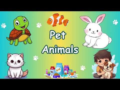 Pet Names for Kids | Learn Pet Names Easily | Pet Animals @minniebeeschool