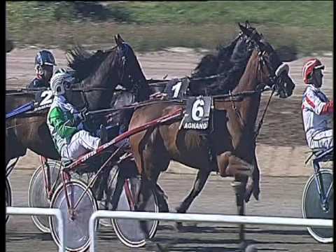 Trotto 26/03/2017 - 3ª corsa