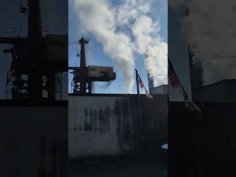 Ingenio de caña de bellavista jalisco jalisco mexico