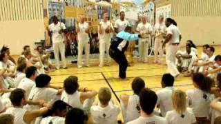 Mestre Tubarão e Mestre Maclau CVM open 2010 Súecia