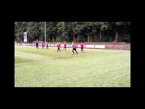 NEC F1 THE DREAMTEAM