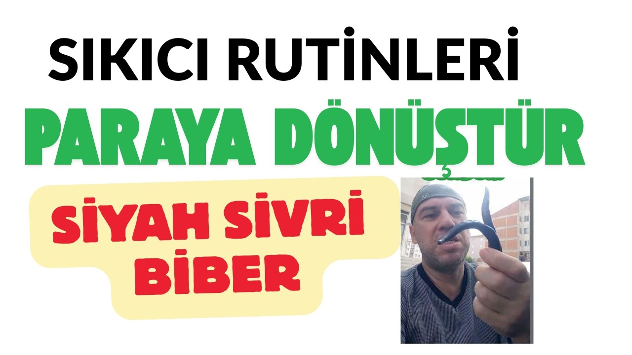 Hayatındaki Rutinler Seni Zengin Edecek Basit Alışkanlıklara Para Kazan