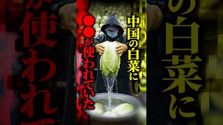 【速報】中国産白菜の『ホルムアルデヒド漬け』が発覚→日本の厚労省も確認に乗り出した理由とは...#shorts