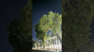 Download lagu story wa iklim suci dalam debu... mp3