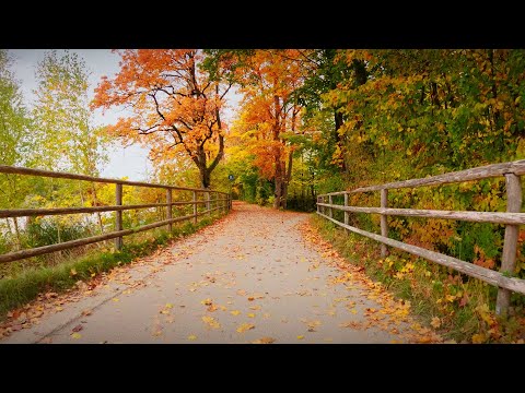 Virtual Bike Ride Through Autumn Munich | Peaceful Isar River Path in Real-Time 4K