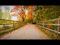 Virtual Bike Ride Through Autumn Munich Peaceful Isar River Path In Real Time 4K