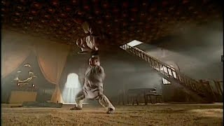 Best Martial Arts Tai Chi Fight Scenes by Wu Jing