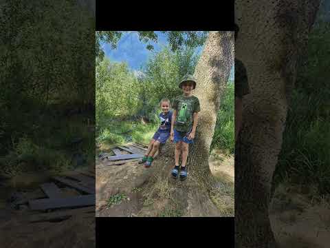 Pischia (apa acra) ,Vulcanii noroiosi de la Seceani si acumularea de Murani .