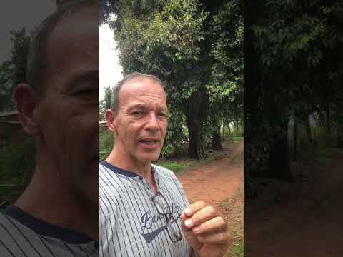 Chácara a 800m da cidade 😳 isso é raro