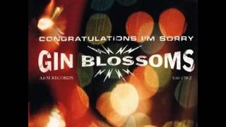 Gin Blossoms - Not Only Numb