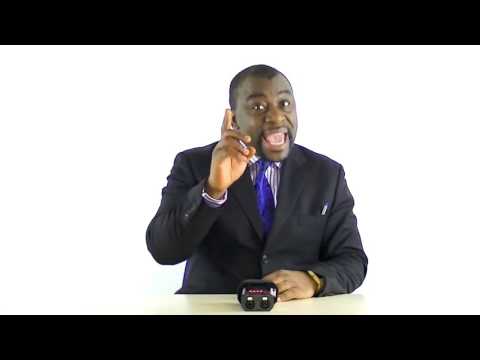 Alex19 isn't so great?