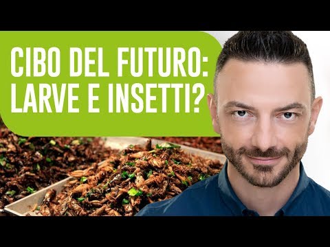 Larve e Insetti: saranno il CIBO DEL FUTURO? - Domande al Nutrizionista