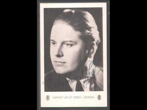 HERBERT ERNST GROH SINGS   DU WARST FUR MICH DER LIEBESTRAUM