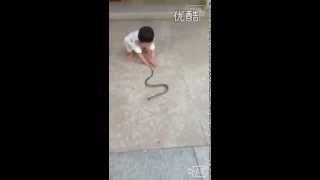 little girl don't afraid of snake