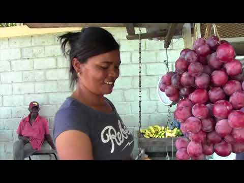 download lagu mp3 mp4 Dominican Republic Fruit, download lagu Dominican Republic Fruit gratis, unduh video klip Dominican Republic Fruit