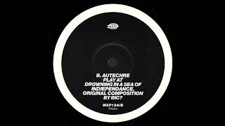 Autechre - Play At Drowning in a Sea of Indiependance [Original composition by Bic?] (Vinyl Rip)
