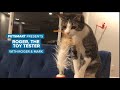 Roger the Cat tests toys!