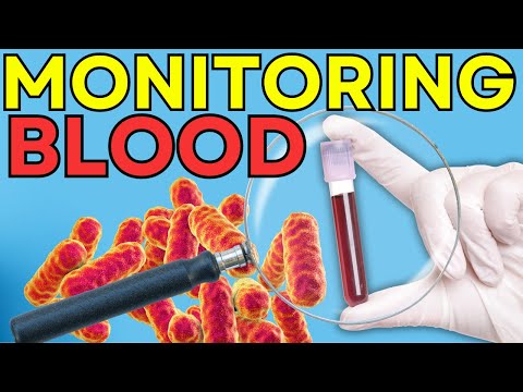 Blood Monitoring Mastery: A Guide to Understanding and Optimizing Your Vital Signs