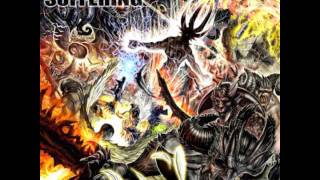 Internal Suffering - Transfiguration Of The Devotee