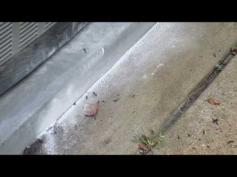 Yellow Jackets Harbor Under the A/C Unit in Jackson, NJ