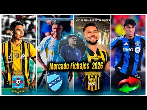 ZEBALLOS es PRIMER REFUERZO de BOLÍVAR | EFRAIN MORALES RECUPERADO | ALGARAÑAZ es ATIGRADO | LAMPE